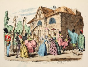 Girafes - Granny Dears et autres nouveautés, pub. 1886